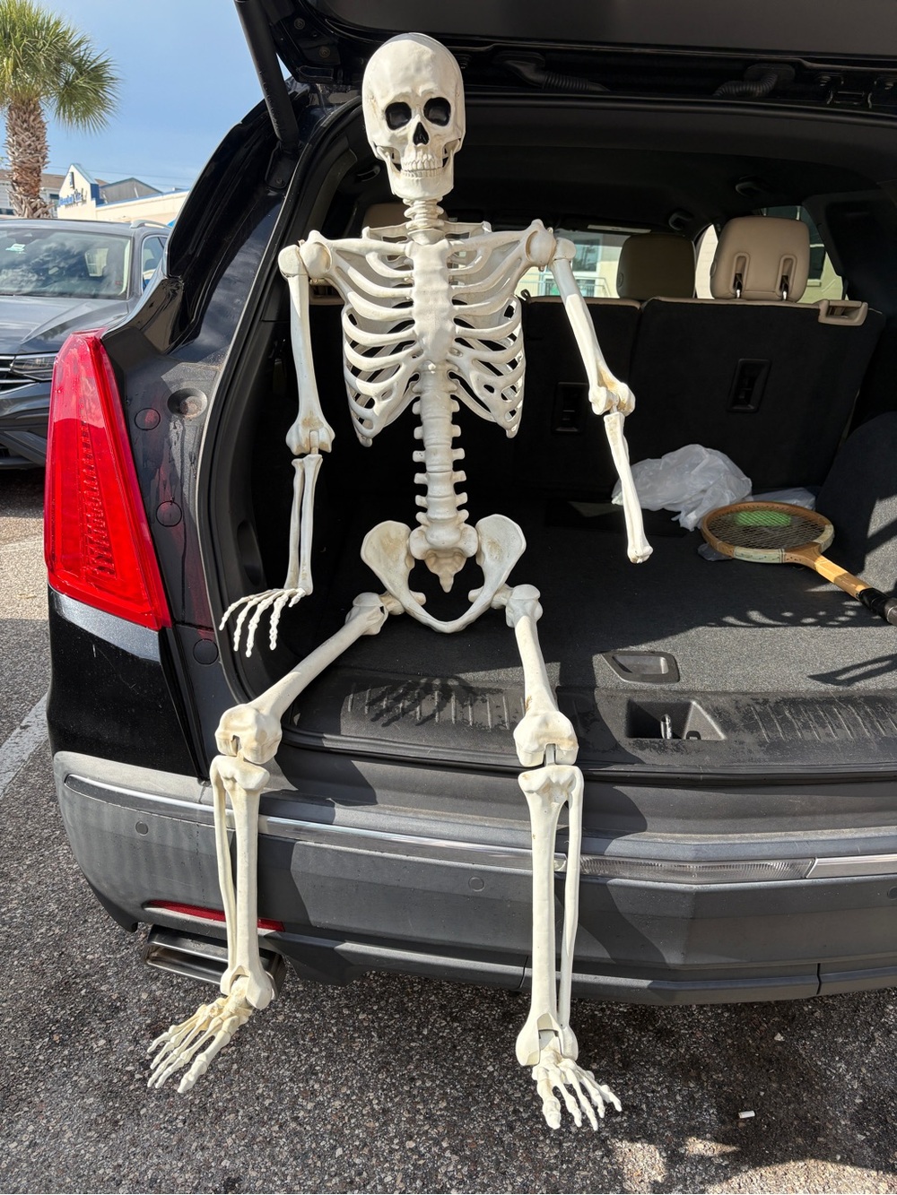 Posable Halloween Skeleton Decoration - 5.8 ft decoration